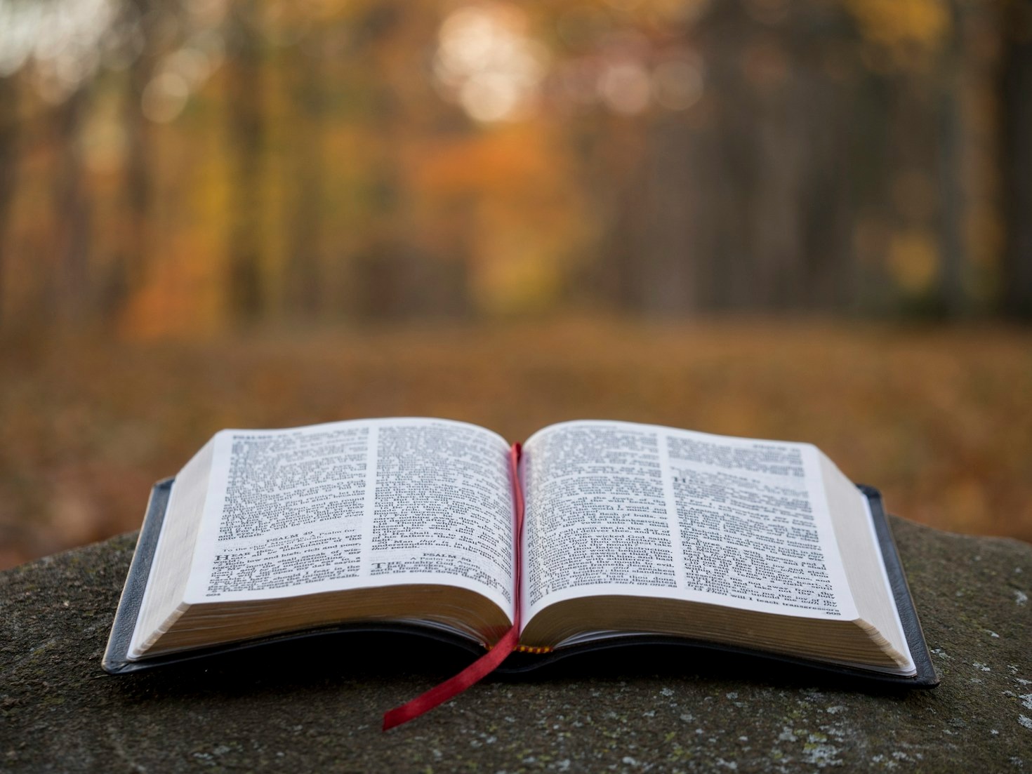Practical Wisdom from the Teachings of Jesus